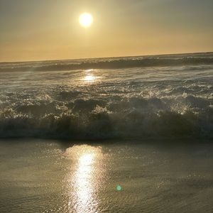 Meet your Posher, Kyleigh